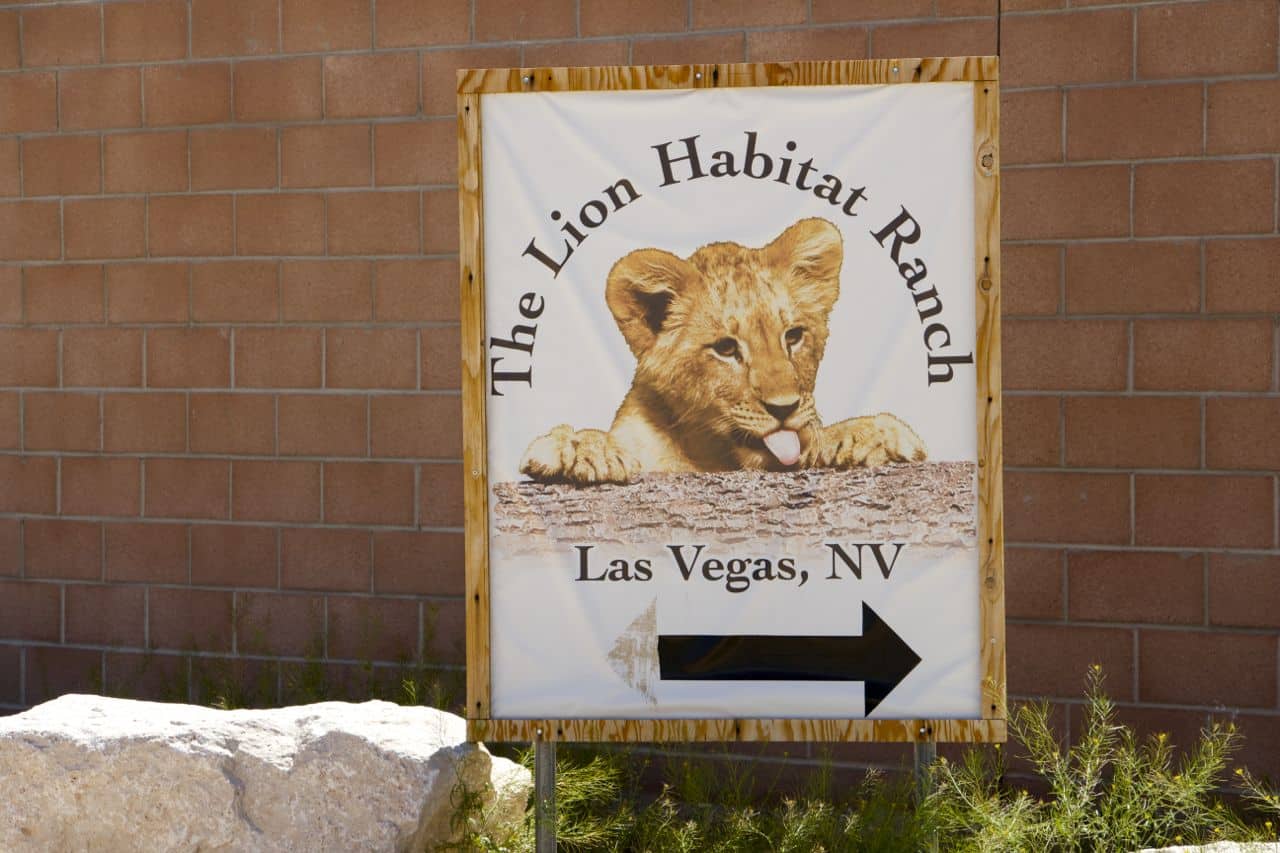 The Lion Habitat Ranch, Las Vegas