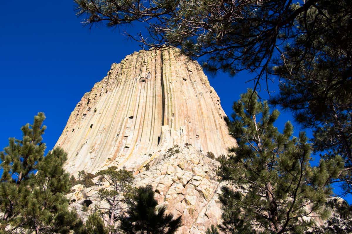 Devils Tower er klippen fra filmen Nærkontakt af tredje grad – Wyoming, USA