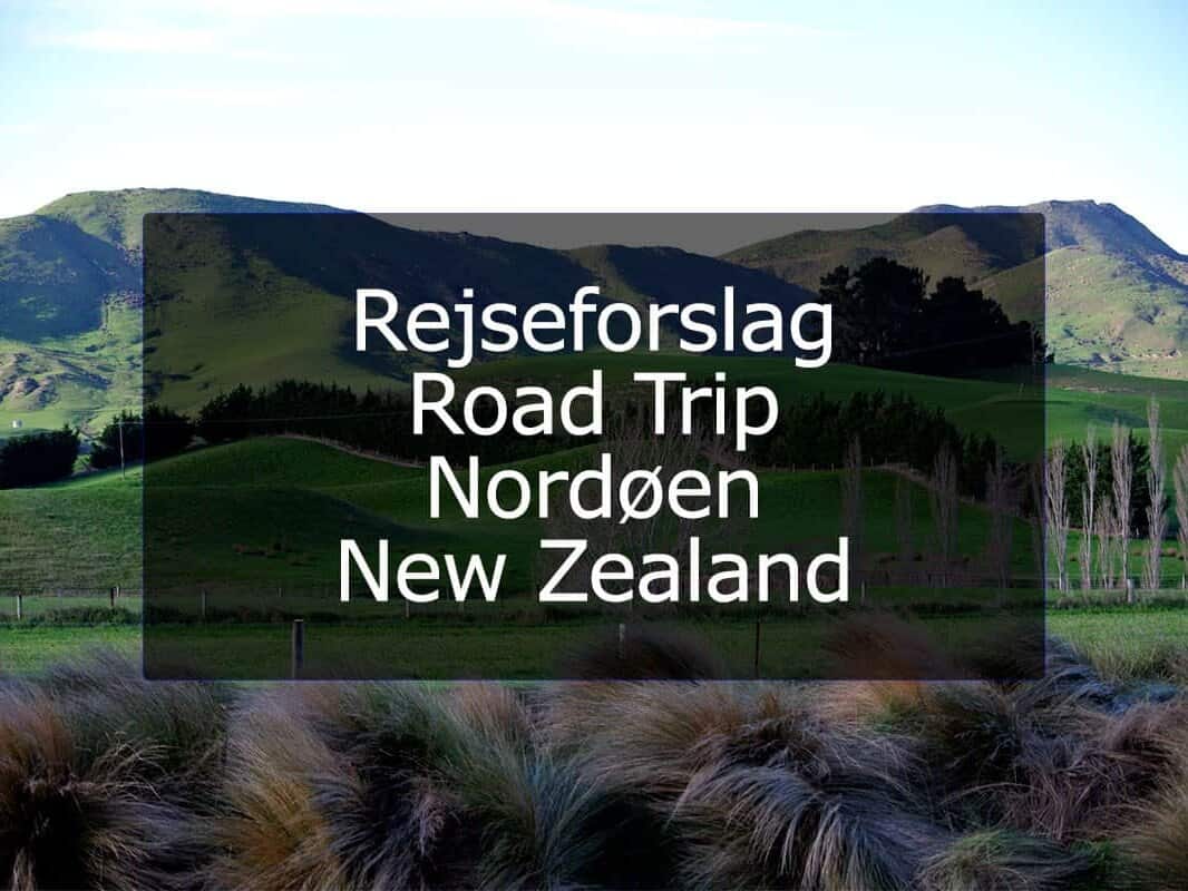 Rejseforslag Road Trip – Nordøen, New Zealand
