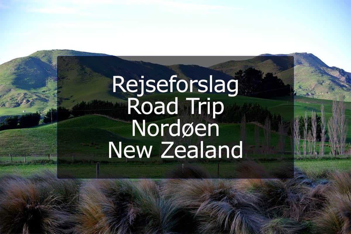 Rejseforslag Road Trip – Nordøen, New Zealand