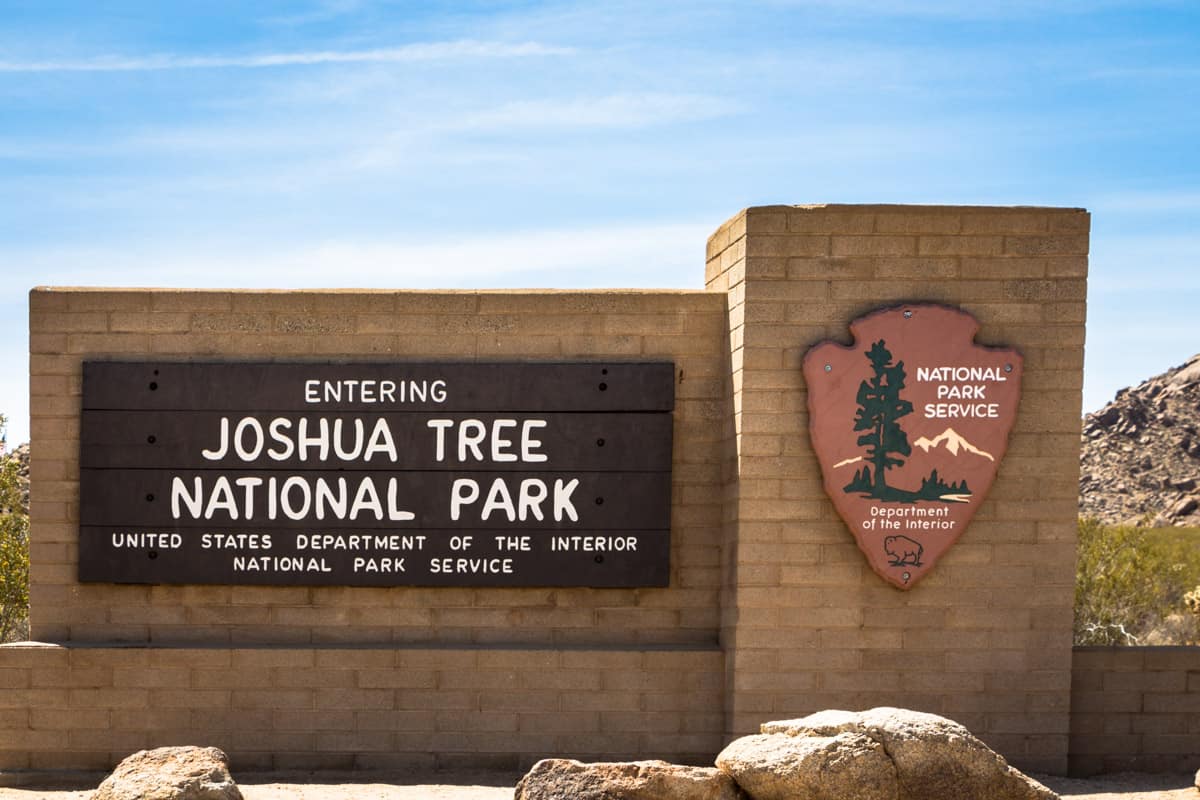 Joshua Tree National Park med de unikke træer – Californien, USA