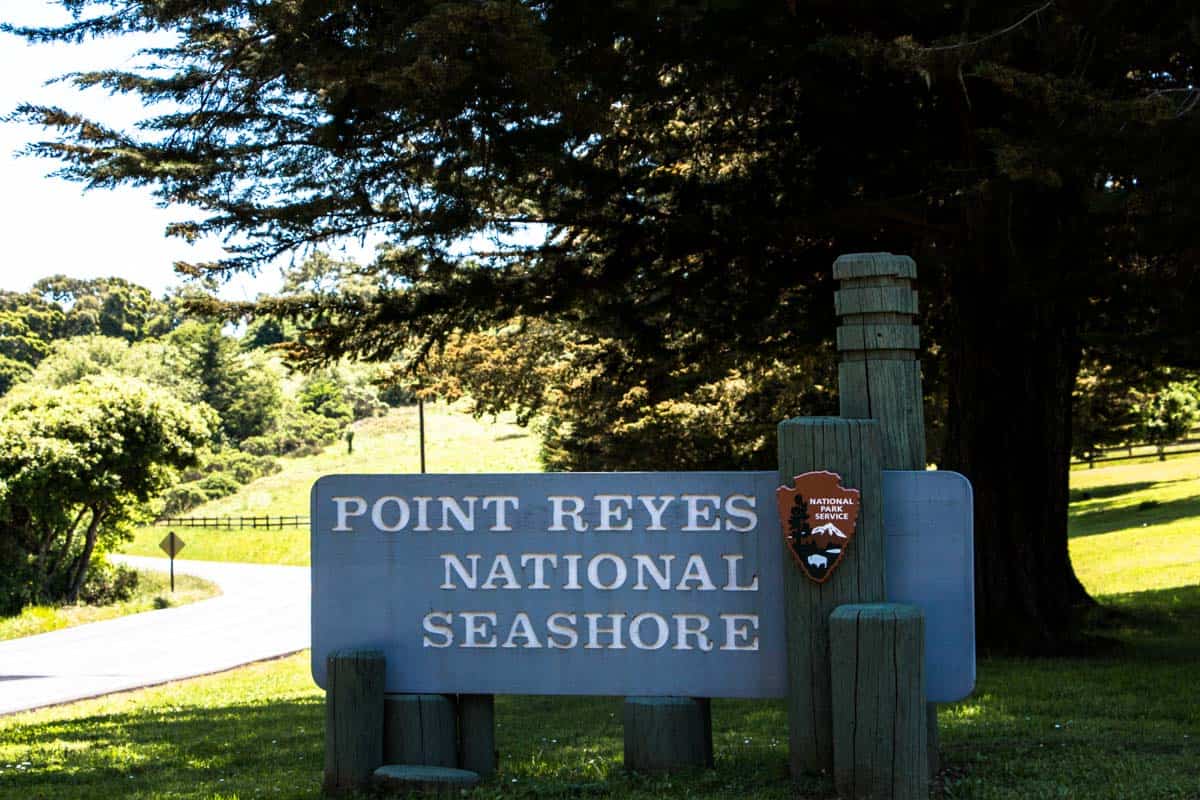Point Reyes National Seashore med den smukke kystlinje - Californien, USA
