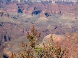 Grand Canyon National Park er verdens naturvidunder, Arizona - USA