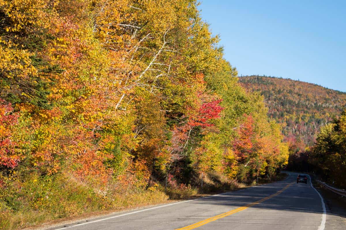 Kancamagus Highway den smukkeste vej i White Mountains – USA