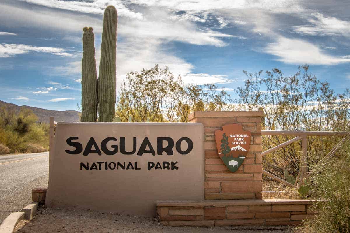 Saguaro National Park med alle kaktusserne - Arizona, USA