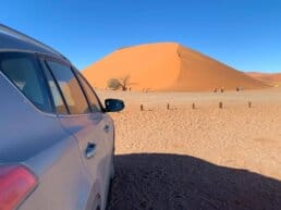 Billeje og kørsel i Sydafrika og Namibia