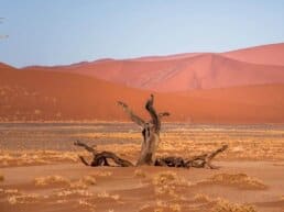 Namib-ørkenen og røde klitter ved Sossusvlei – Namibia