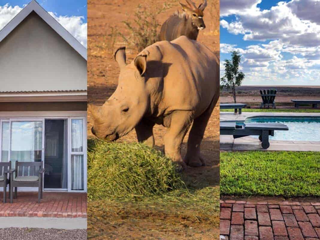 Safari ved Africa Safari Lodge – Mariental, Namibia