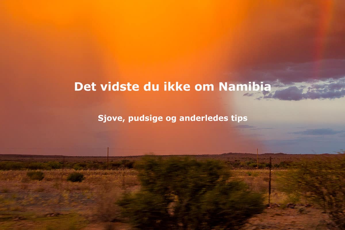 Det vidste du ikke om Namibia