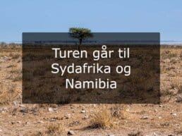 Turen går til Sydafrika og Namibia