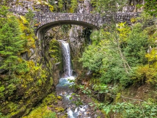 Den grønne Mount Rainier National Park - Washington, USA