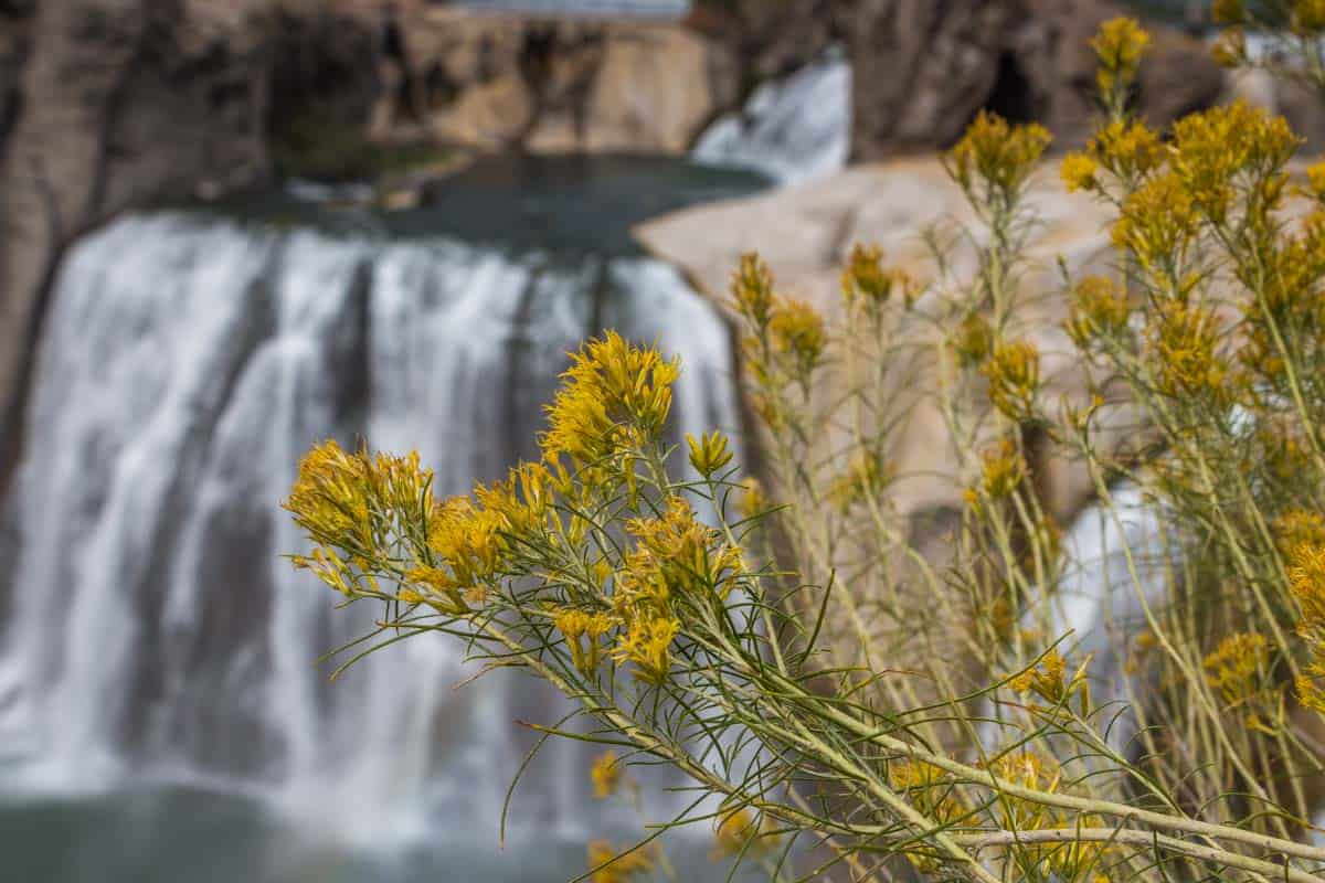 USA’s smukkeste vandfald Shoshone Falls – Idaho, USA