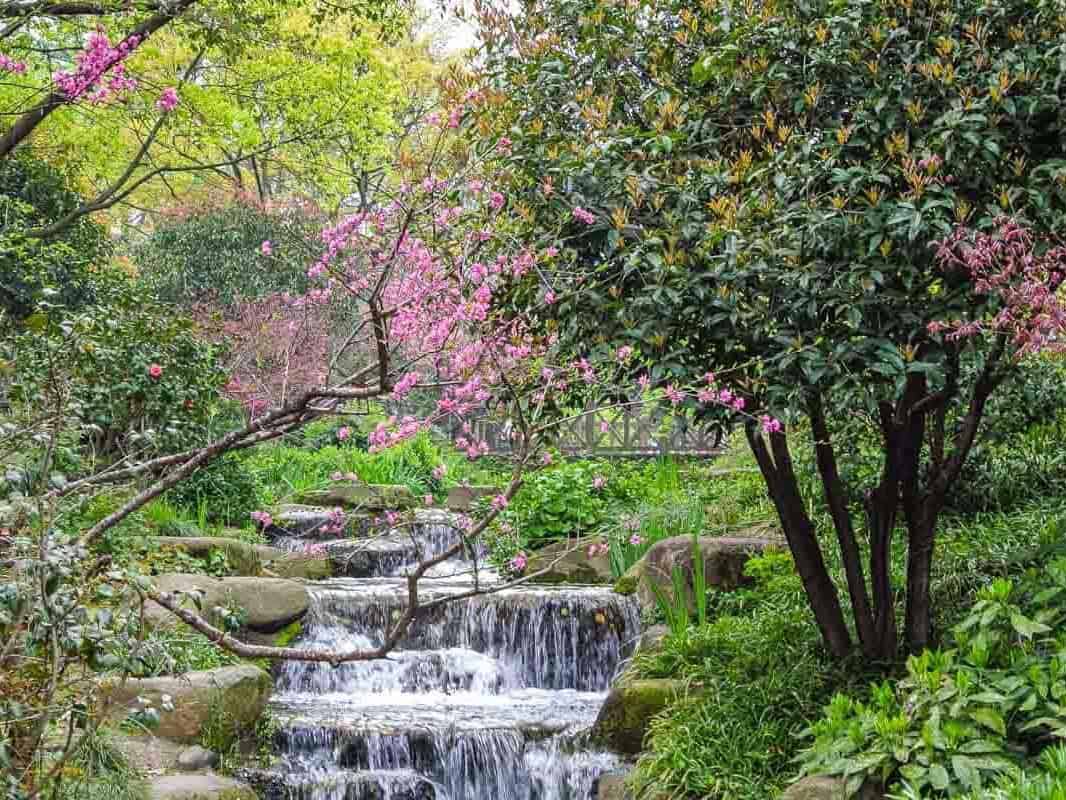 4 gode oplevelse i Hangzhou – Kina