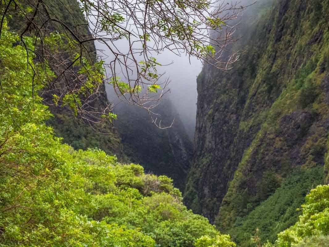 Iao Valley State Park med klippe nålen - Maui, Hawaii