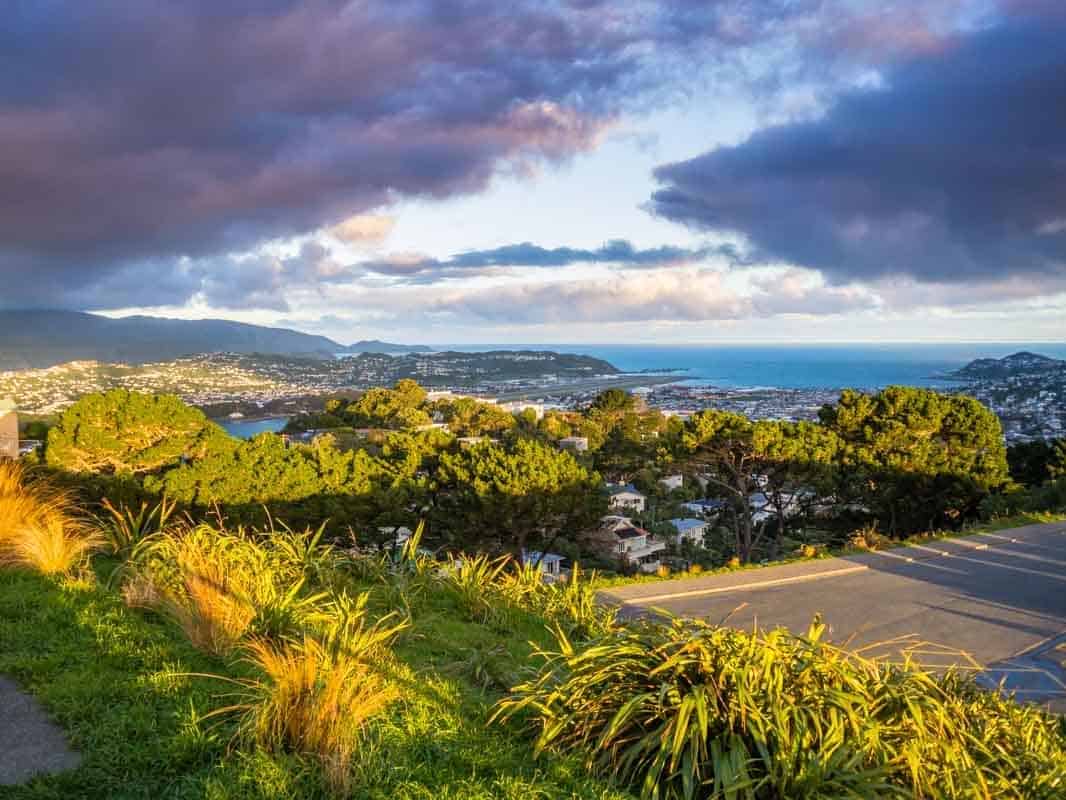 Oplevelser i Wellington - New Zealand