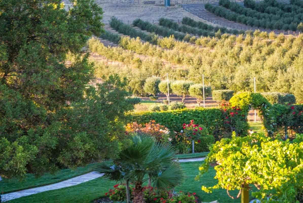 Anmeldelse af Purple Orchid Wine Country Resort & Spa - Livermore, USA
