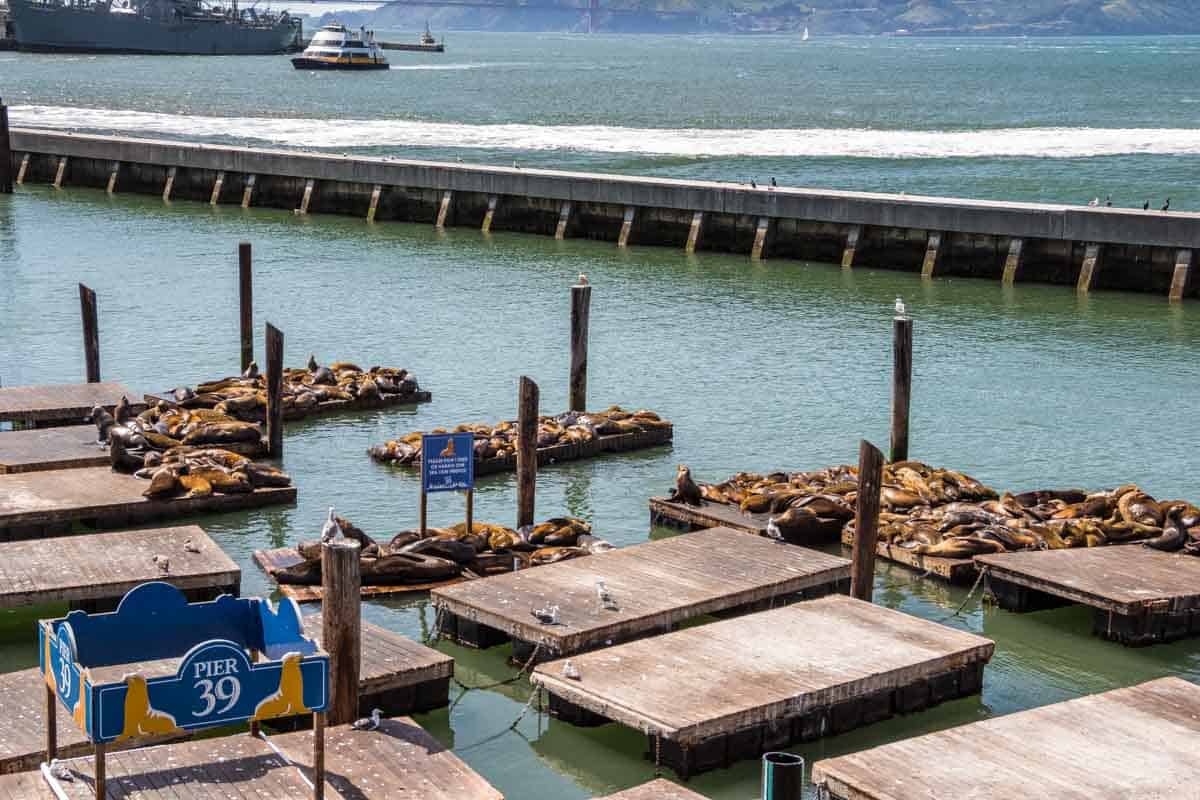 Fisherman's Wharf det livlige havneområde - San Francisco, USA