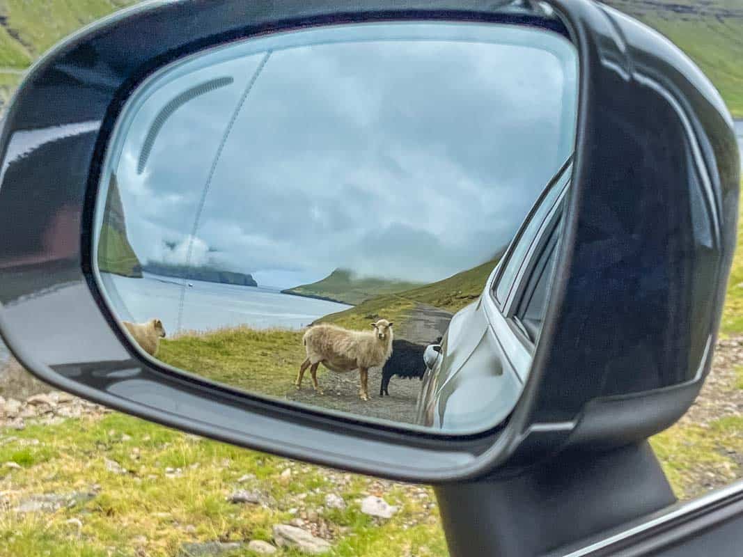 Naturruterne på Færøerne