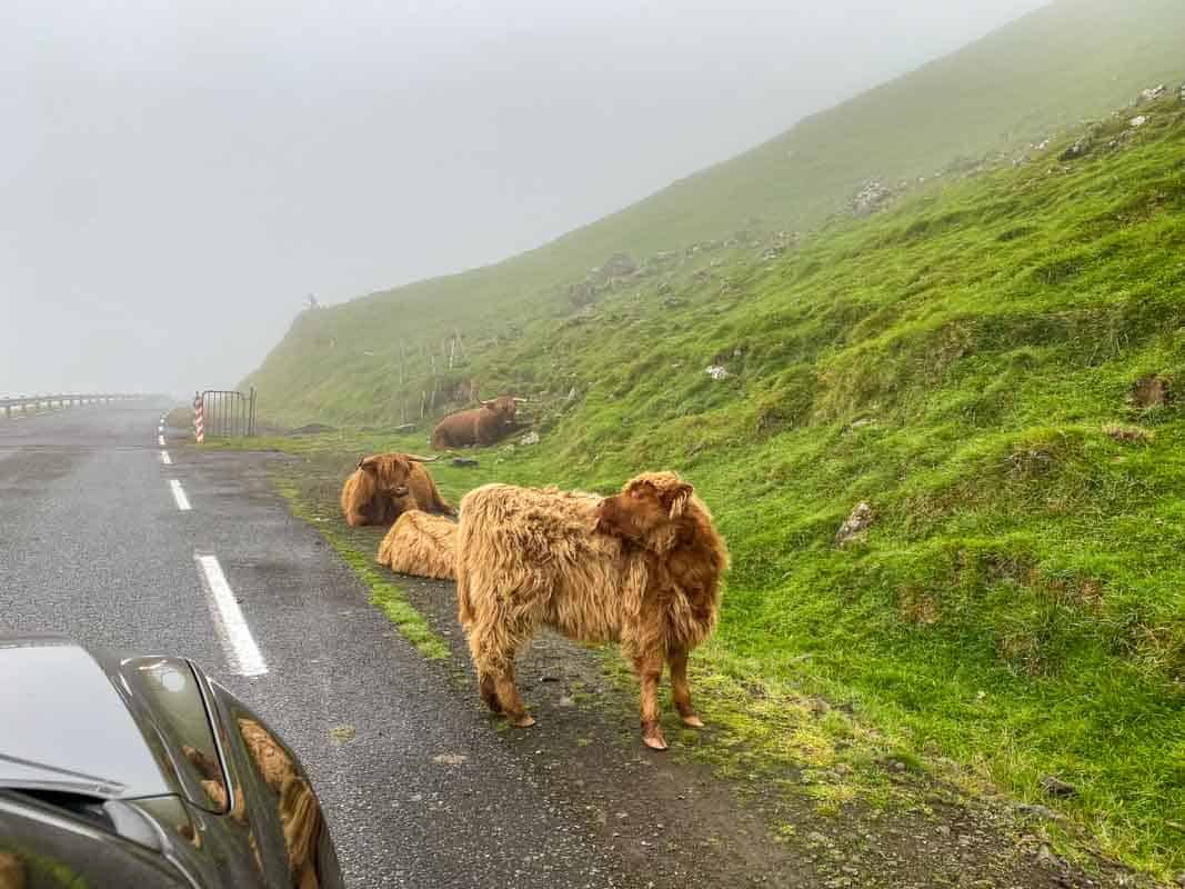 Tips til billeje og kørsel på Færøerne
