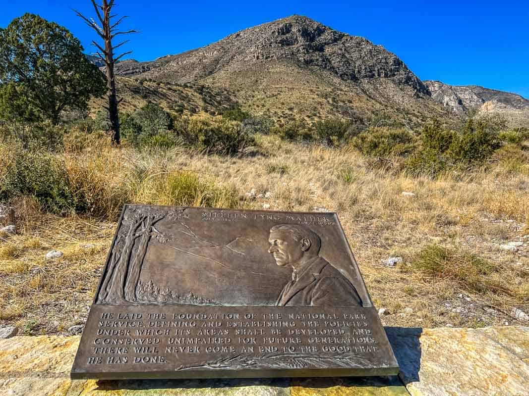 Tinderne i Guadalupe Mountains – Texas, USA