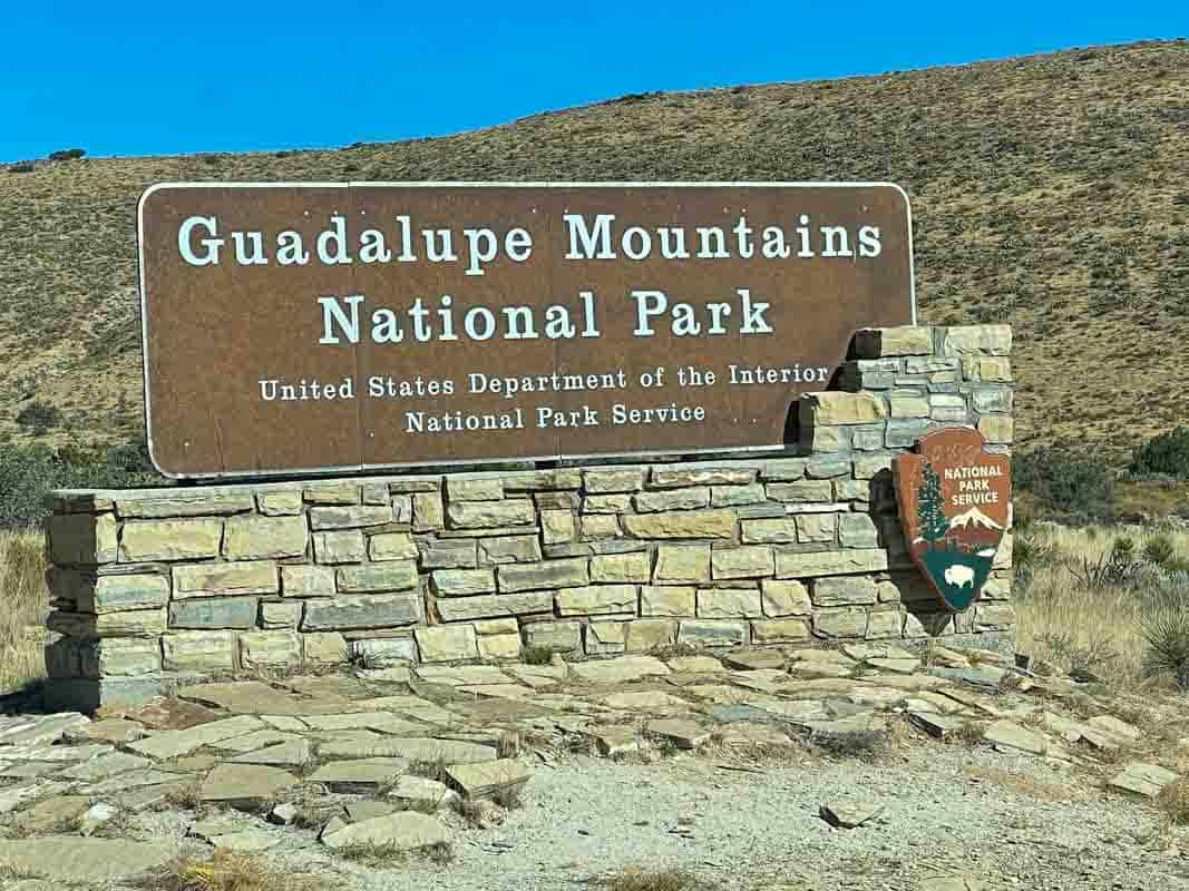 Tinderne i Guadalupe Mountains – Texas, USA