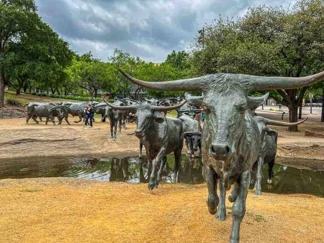 Oplevelser i Dallas og omegn – Texas, USA