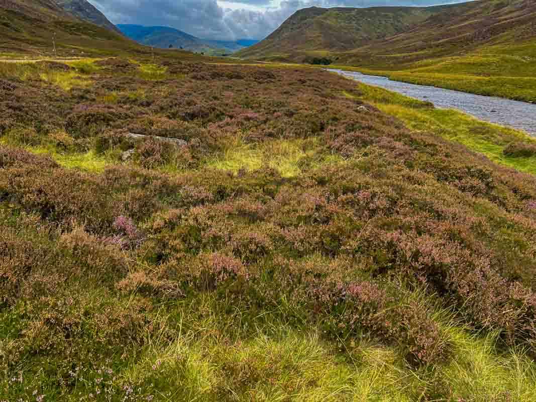 Snow Road i Cairngorms Nationalpark - Skotland