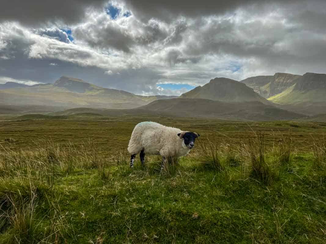 Oplevelser på Isle of Skye - Skotland