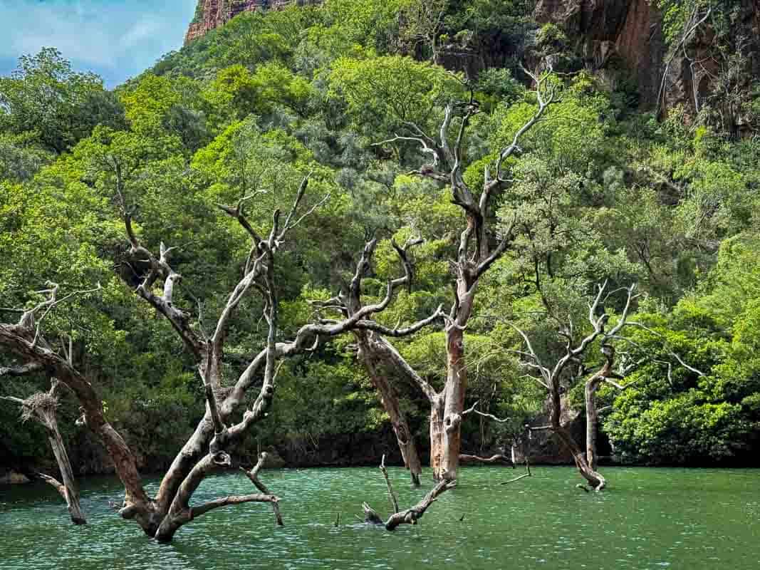 Bådtur i Blyde River Canyon - Sydafrika