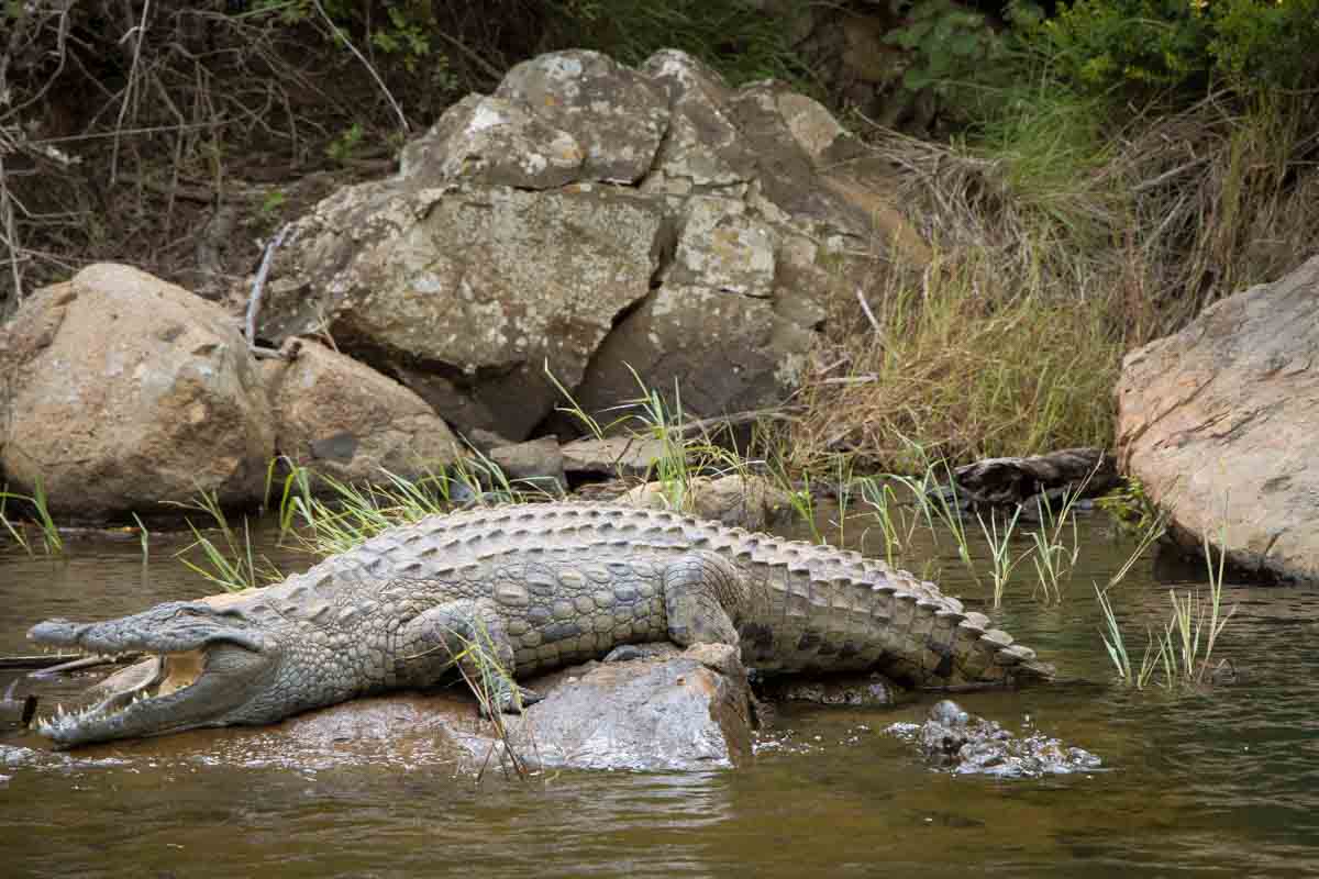 Bådtur i Blyde River Canyon - Sydafrika