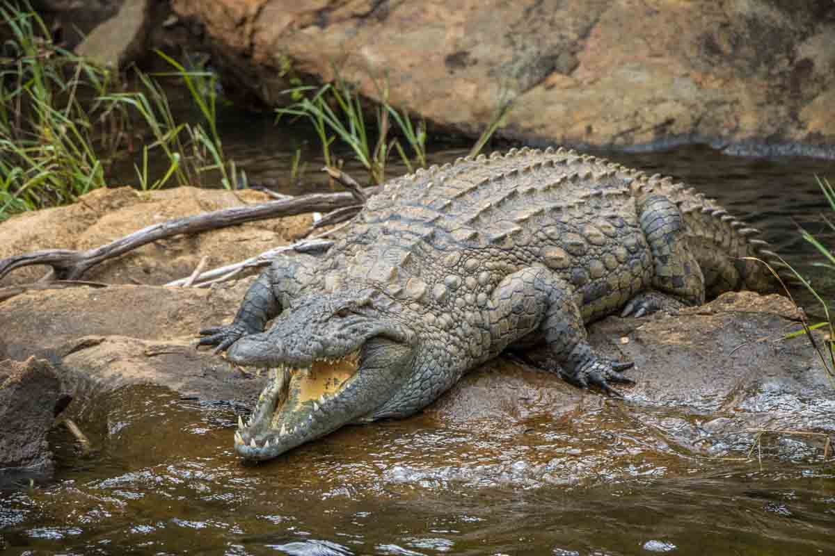 Bådtur i Blyde River Canyon - Sydafrika