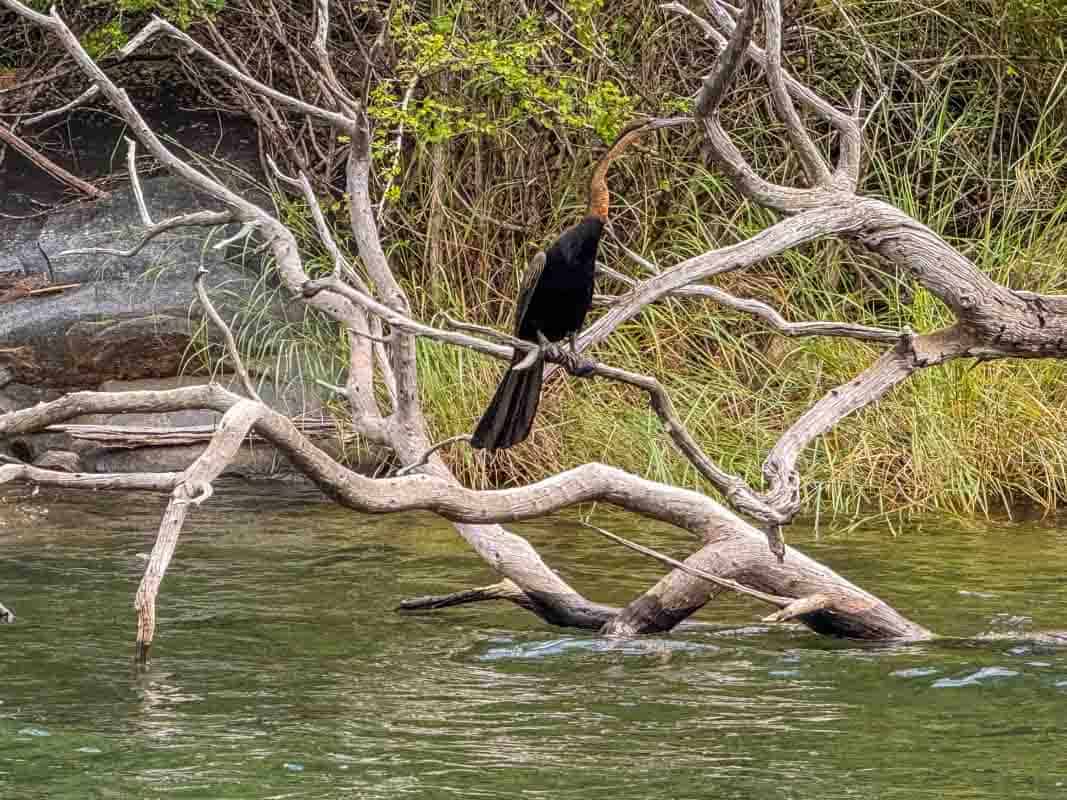 Bådtur i Blyde River Canyon - Sydafrika