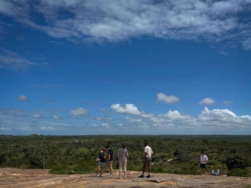 Kør-selv safari i Kruger National Park - Sydafrika