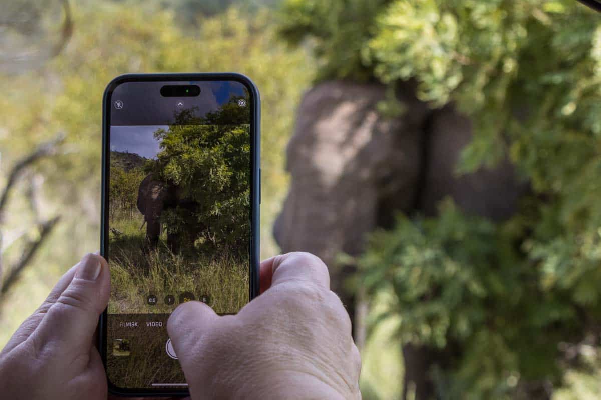 Kør-selv safari i Kruger National Park - Sydafrika