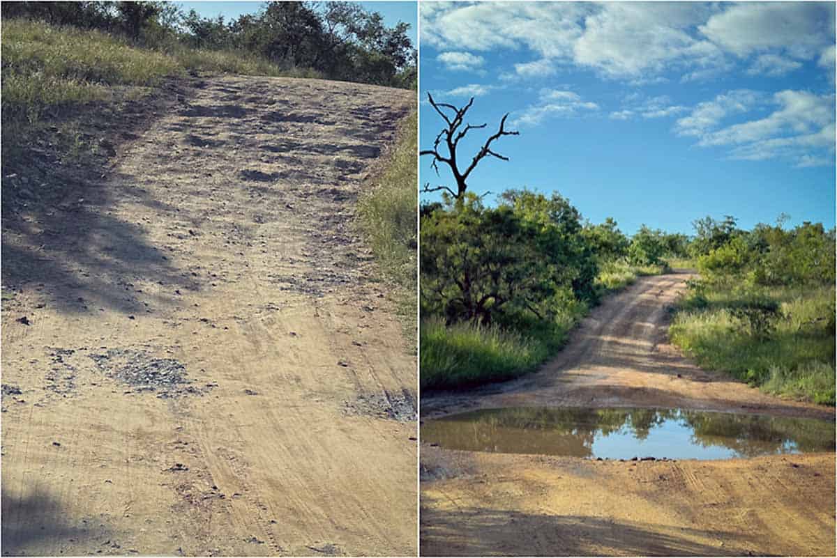 Kør-selv safari i Kruger National Park - Sydafrika