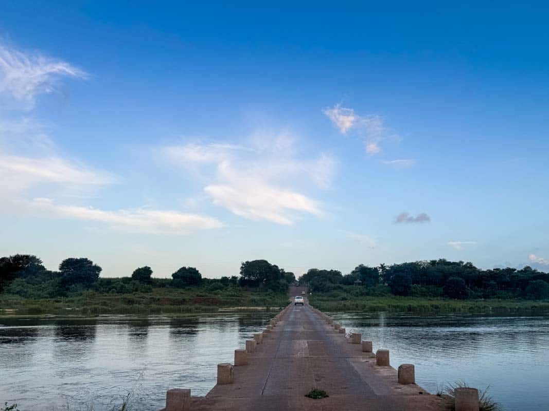 Kør-selv safari i Kruger National Park - Sydafrika