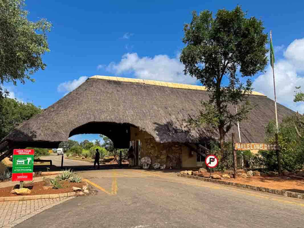 Kør-selv safari i Kruger National Park - Sydafrika