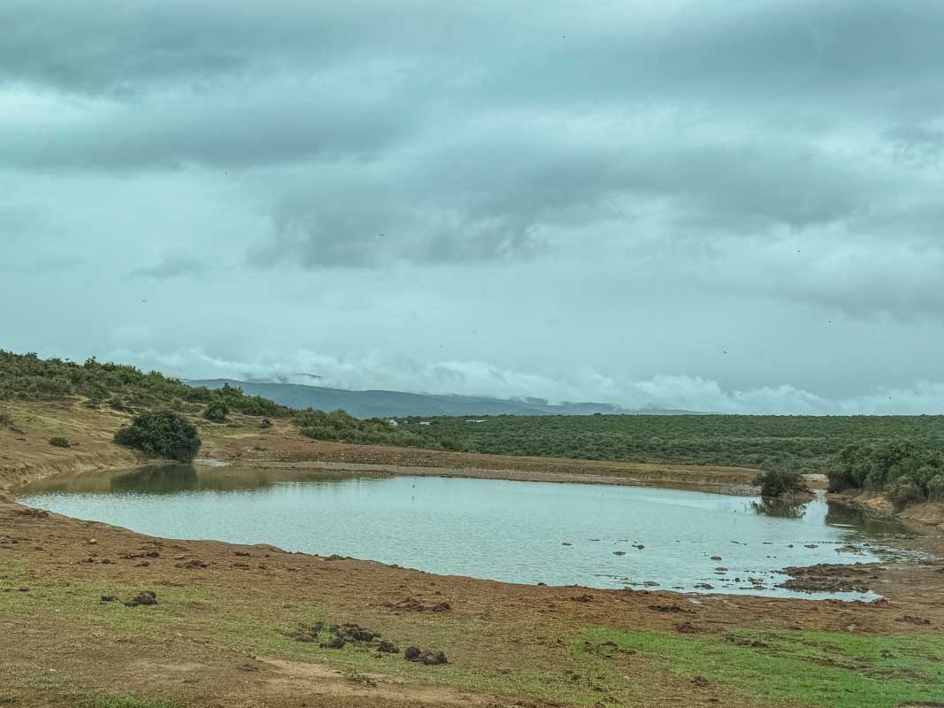 Kør-selv safari i Addo Elephant National Park - Sydafrika