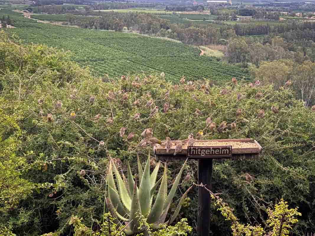 Kør-selv safari i Addo Elephant National Park - Sydafrika