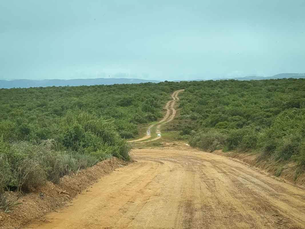 Kør-selv safari i Addo Elephant National Park - Sydafrika