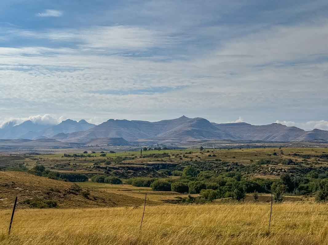 Mountain Zebra National Park - Sydafrika