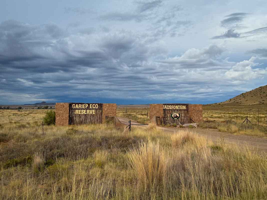 Mountain Zebra National Park - Sydafrika