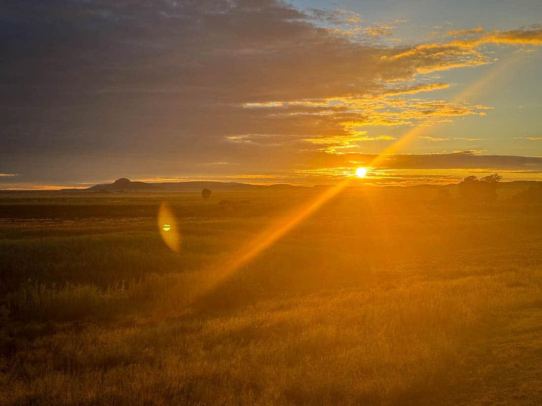 Mountain Zebra National Park - Sydafrika