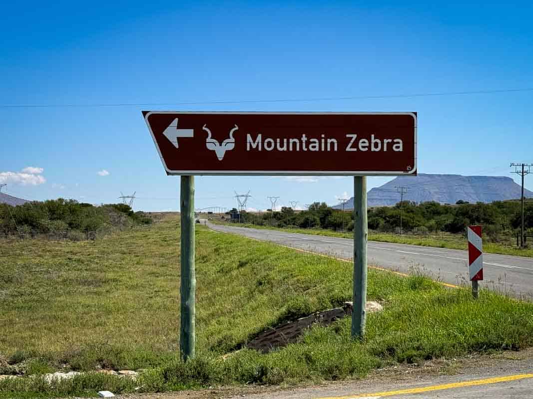 Mountain Zebra National Park - Sydafrika