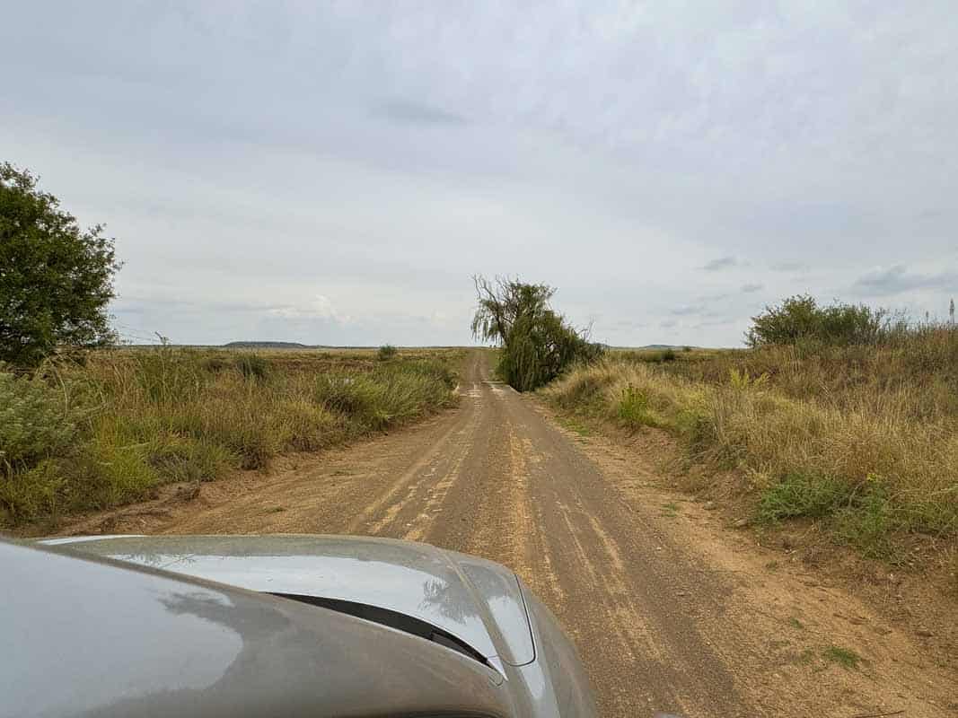 Mountain Zebra National Park - Sydafrika