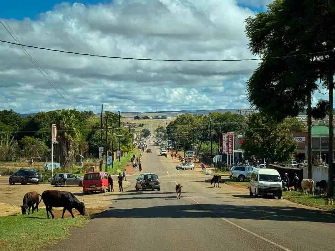 Oplevelser ved Golden Gate National Park - Sydafrika