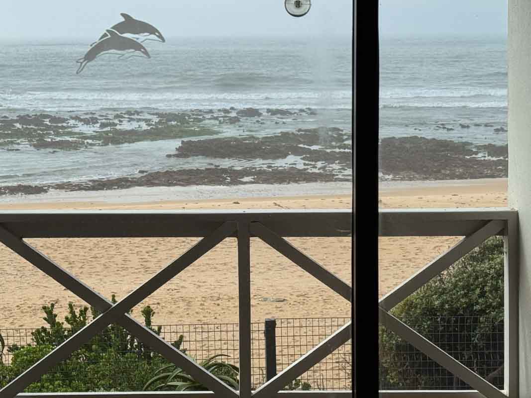 Road Trip fra Jeffreys Bay til Knysna - Sydafrika