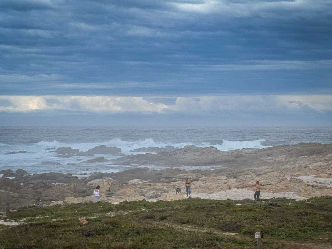 Road Trip fra Jeffreys Bay til Knysna - Sydafrika