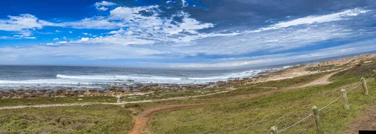 Road Trip fra Jeffreys Bay til Knysna - Sydafrika