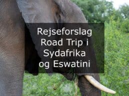 Rejseforslag Road Trip i Sydafrika og Eswatini